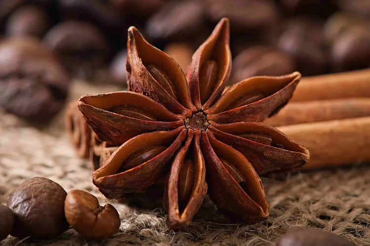 Unveiling The Culinary Magic: Exploring Star Anise Benefits And Side Effects article image from Organic Pure Leven