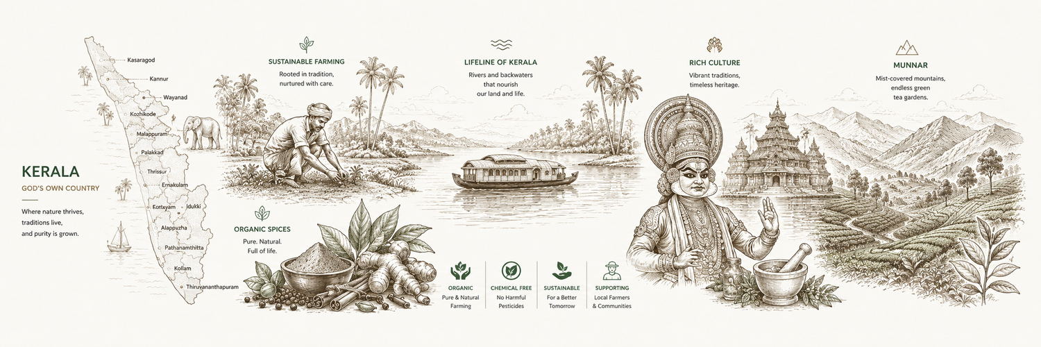 Kerala - God's Own Country