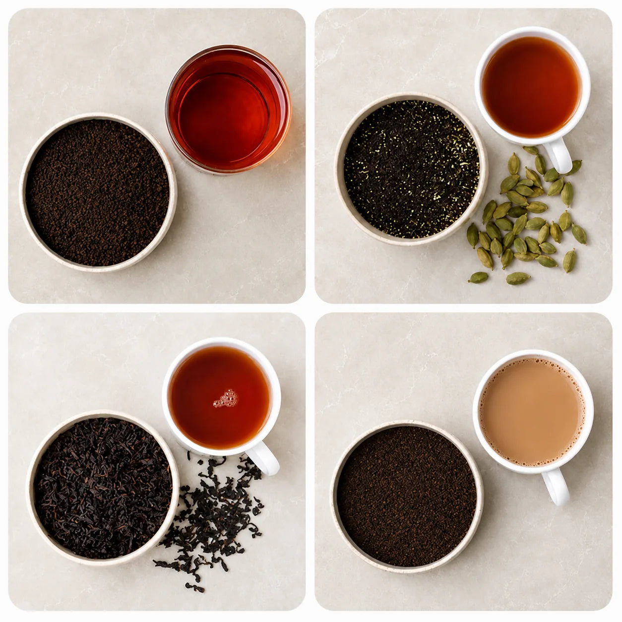 Starter Trial Pack — 4 Varieties
