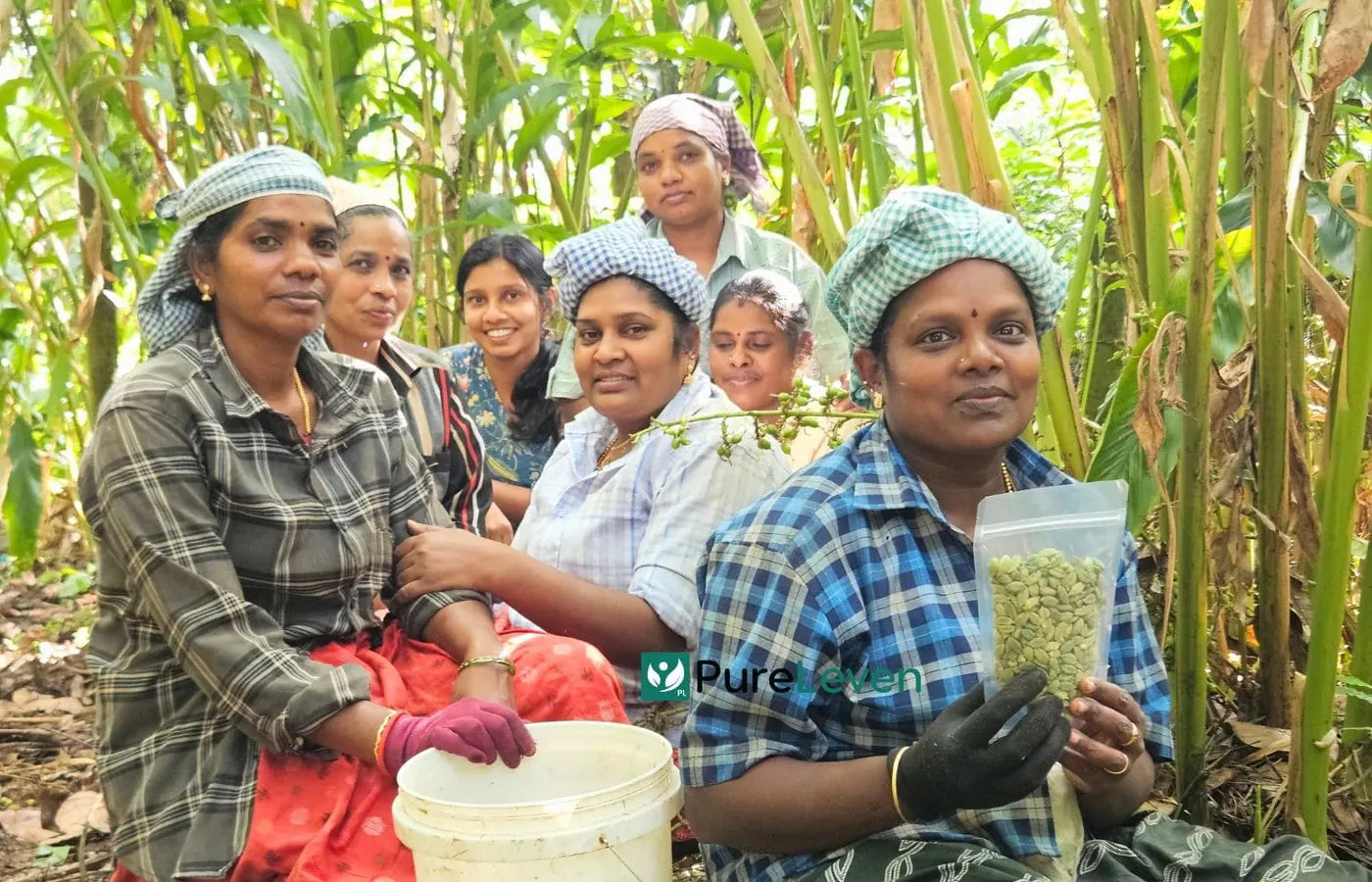 PureLeven growers with freshly collected Kerala cardamom