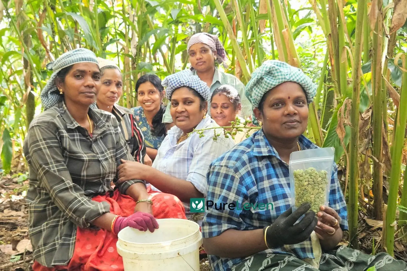 PureLeven spice growers in a Kerala cardamom garden