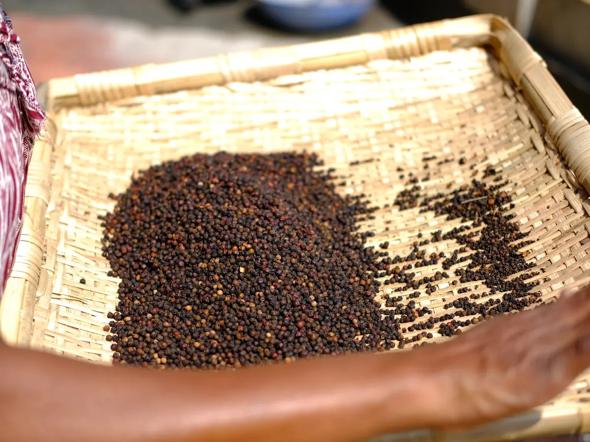 Whole black peppercorns drying after harvest