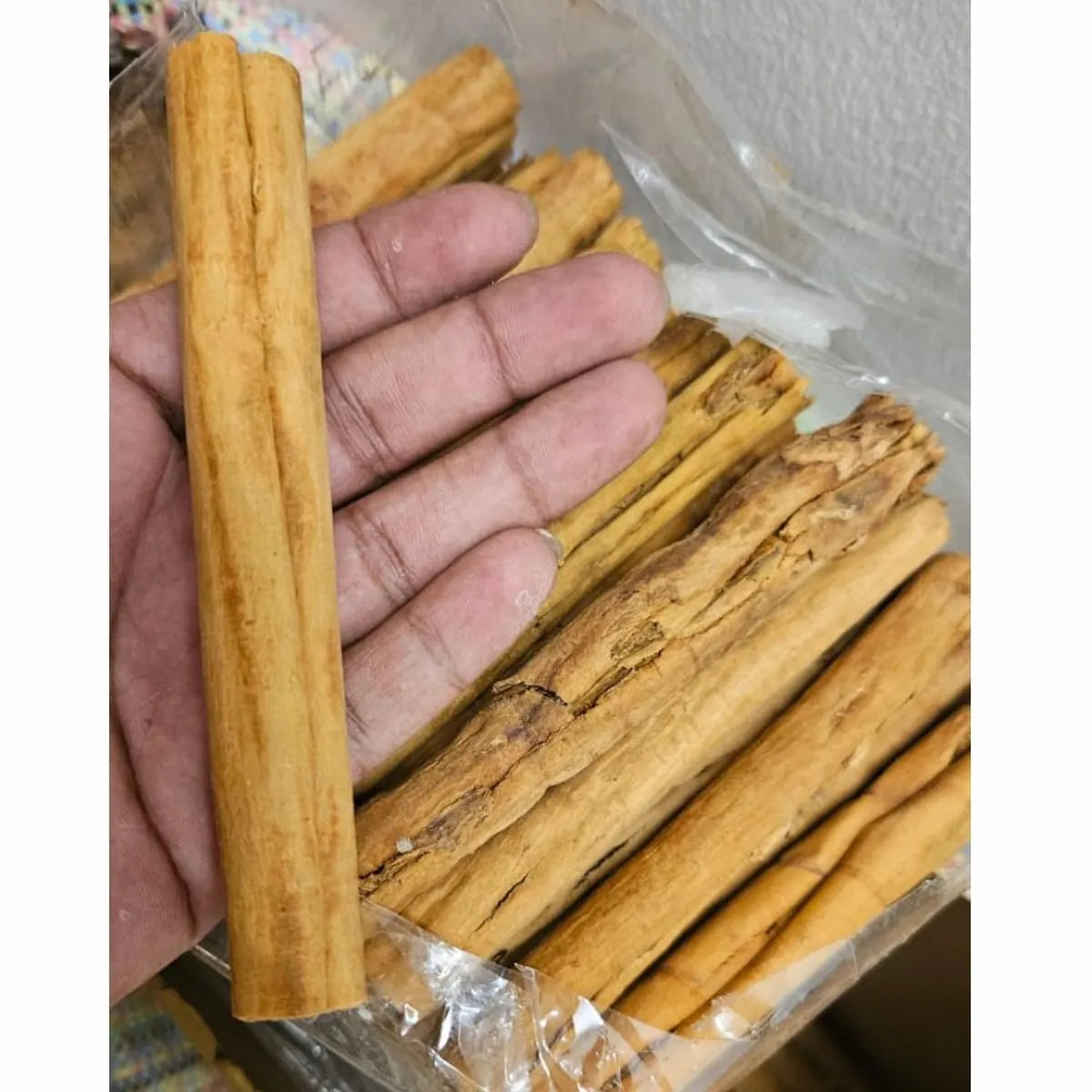 Ceylon cinnamon bark held in hand