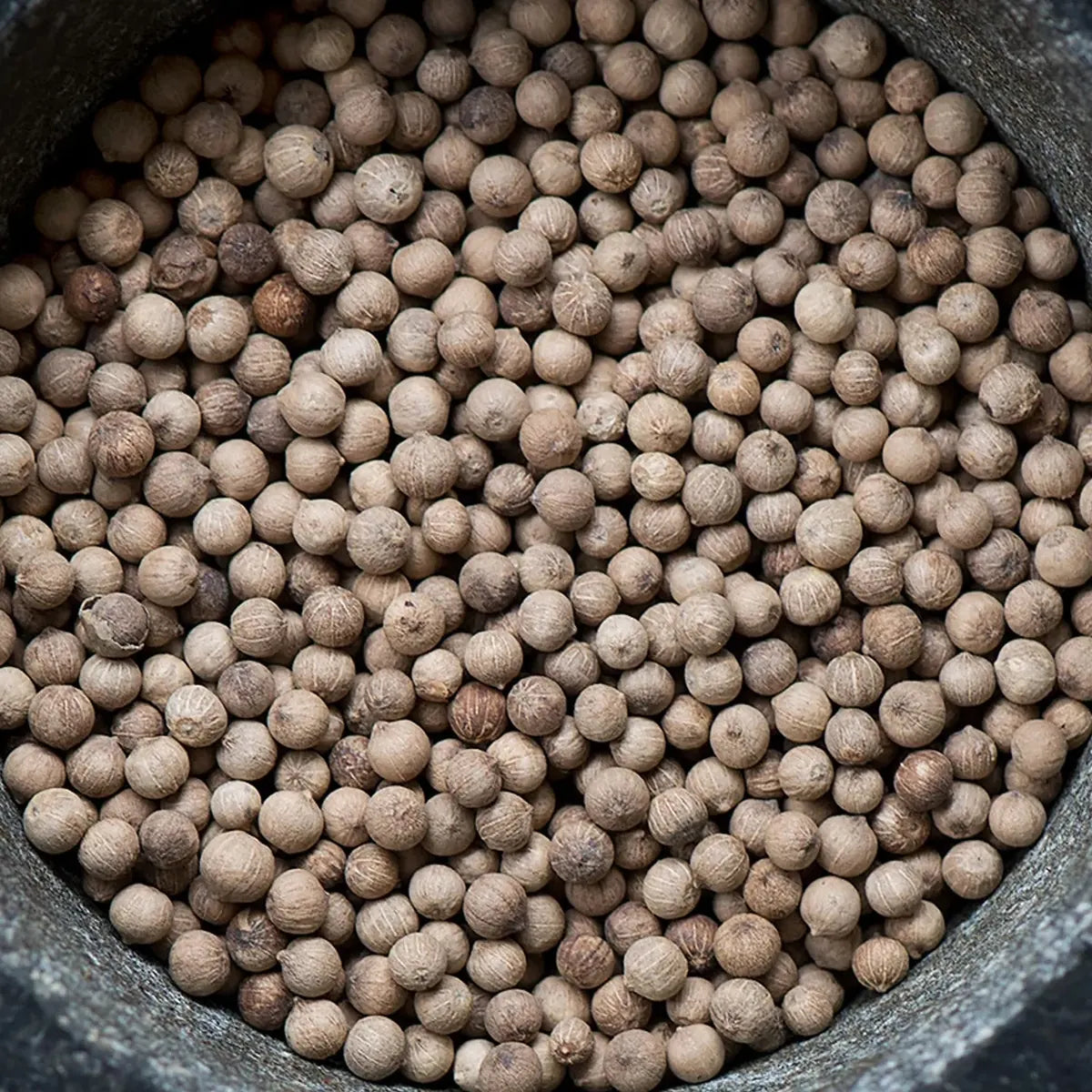 Close view of whole white peppercorns