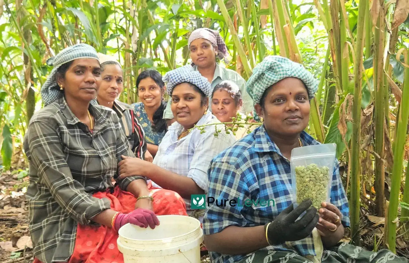 PureLeven growers with freshly collected Kerala cardamom