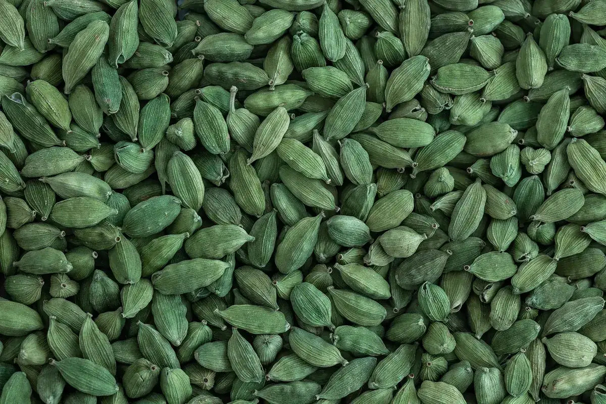 Close view of whole green cardamom pods