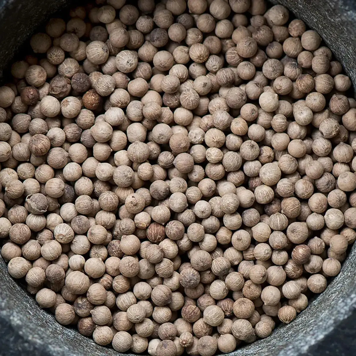 Close view of whole white peppercorns