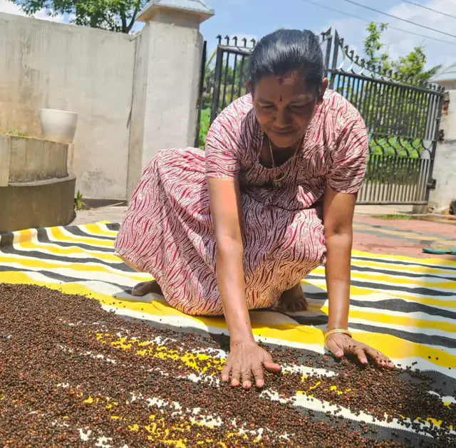 Sushma Chechi, Ground Works