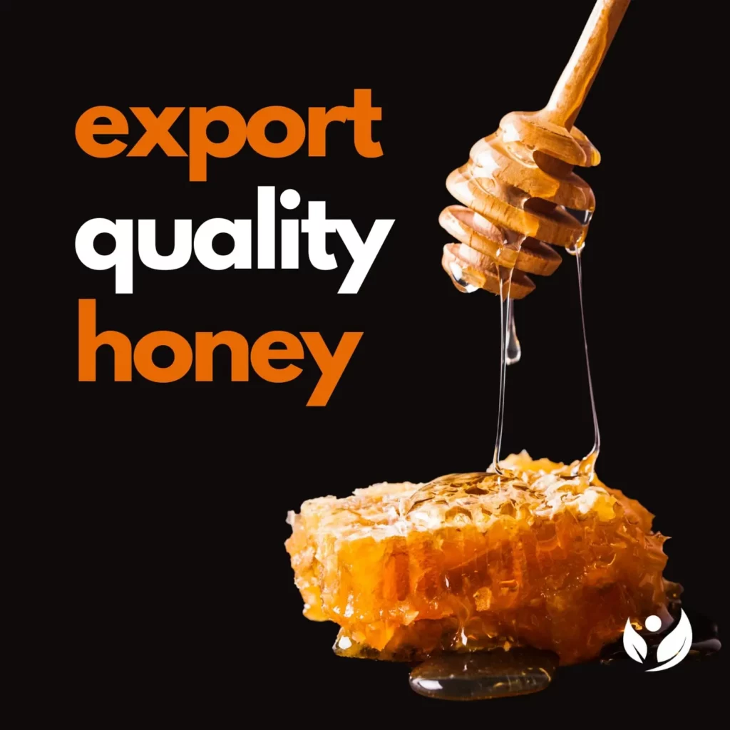 Buy Bulk Honey  Wholesale Manuka Honey